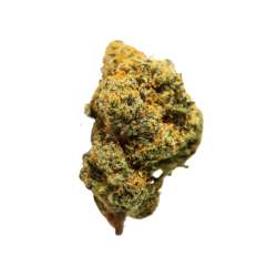 Jedi Gelato CBD