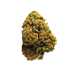 Blueberry - FUZ