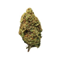 Grapefruit - FUZ