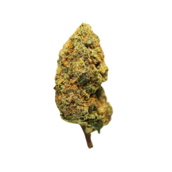 Larry OG CBD