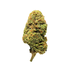 Gelato 33 CBD