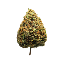 Sunset Sherbet CBD