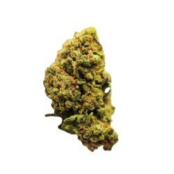 AK47 - FUZ