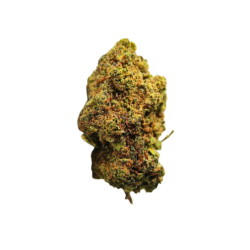 Blueberry - FUZ