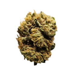Lemon Ice CBG