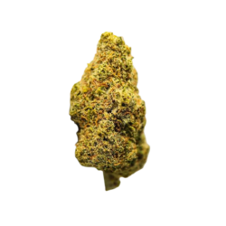 Watermelon CBD