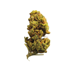 Small Strawberry CBD