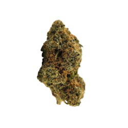 OG Kush CBD