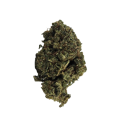 Lemon Cookie STV - FUZ