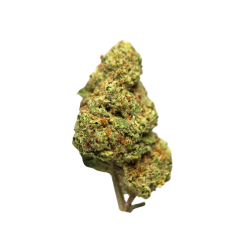 Skunk CBD