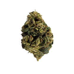 Gelato Lemon CBC - FUZ