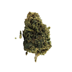 Gorilla Glue BZ - FUZ