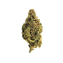 Grape Gaz CBD