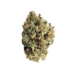 OZK CBD