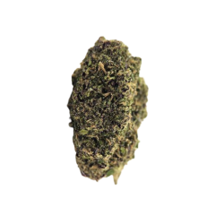 Slurricane CBD