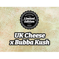 UK Cheese x Bubba Kush