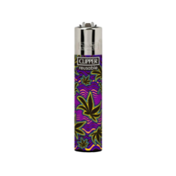 Clipper Psyché